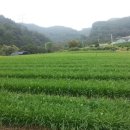 건강밥상으로 가족건강 지키자 이미지