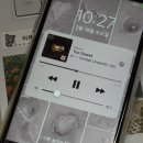 알음알음작은도서관 | 투머치 토커의 백문백답 2025ver