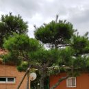 지리산소나무공인중개사사무소 이미지