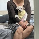 홍이옷수선