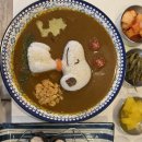 강릉맛집 추천 순두부 스누피카레 거기 강릉시장 김치말이삽겹살 인생물회 만두