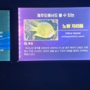 아울정 이미지
