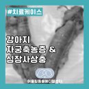 어울림동물메디컬센터 이미지