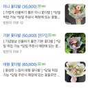 호랭이꽃집 - 성동구 아차산로 18 | 호랭이꽃집