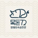 목돈72개봉 이미지