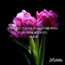 마태복음 27:57~66 봉인되는 무덤, 그러나 봉인될 수 없는 부활 이미지