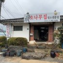 소나무집 이미지