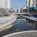 교방천 이미지