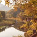 대황강자연휴식공원 이미지