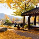 정촌농장 이미지