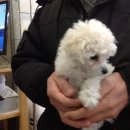 한솔동물병원 이미지