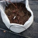 성중농장 이미지