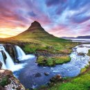 2020년 6월 아이슬란드 야생화와 어우러진 여름풍경 11일(6월 23일) 행사취소 이미지