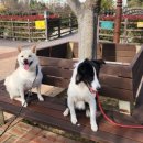 워니시티 이미지