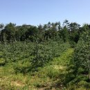 문성농장 이미지