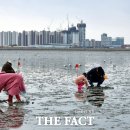 오이도어촌체험휴양마을 이미지