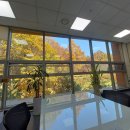 S당구카페 이미지