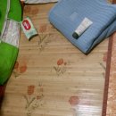 일칠이사 Daum카페