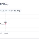 스타박씨 네이버블로그