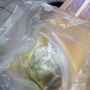 중앙동227 이미지