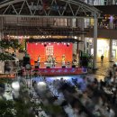 스마일푸드앤편의점 | 일산 라페스타 2025 푸드 앤비어 페스티벌 다녀온 후기