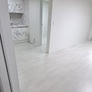 강서구-46 이미지