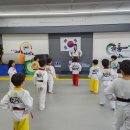 용인대 백호 태권도장 이미지