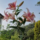 자연모두 이미지