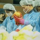 인천공항공사,봉사활동 김장 1만3.000kg 나눔 이미지