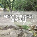 옥당걸숲속 | 김천 개별 화장실 계곡 캠핑장 옥당걸숲속캠핑장 재방문 후기 / 추천 사이트