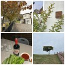 연천비경펜션 이미지