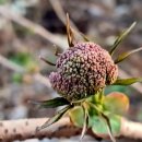 양광모농장 이미지