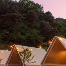 캠프(CAMP)80