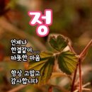 2월4일 수요일 오늘의 책속의 한마디 이미지