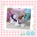 더예쁠:우리
