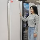 이디야롯데하이마트