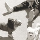 멍슈슈(Mungchouchou) 이미지