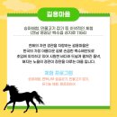 백수놀마을 이미지