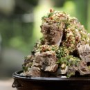 송학농장 이미지