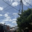 필할인마트 이미지