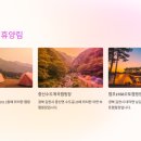 누리자컴퍼니 네이버블로그