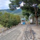 삼탄잔디구장 이미지