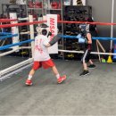 고트 복싱 이미지