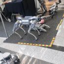 구룡PC | 2025 한국경제신문 박람회 집코노미 콘서트 후기