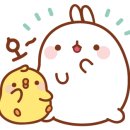 자연국수 이미지