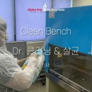 (주)알파라인랩비즈니스 이미지