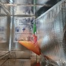 복덩이 | 국내 최초 모발 인증 노래로 완성한 실크텐션 복덩이 모발 유산균 후기