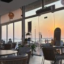 해변의집 | [아부다비 인턴] 아부다비 해변의 FLATOUT Specialty Coffee 후기