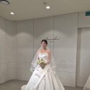 [WD-6] 부산 본식 드레스 셀렉 후기 (ft.코코드브라이덜)