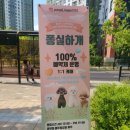 퐁실하개 이미지